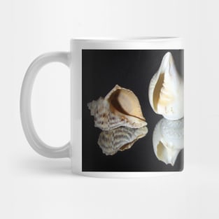 Conch shells Mug